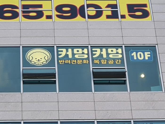 235149625_Yelgw4kp_c9cb9c04d2ffc9859c8ea29637d6788437be984c.jpg 이미지크게보기