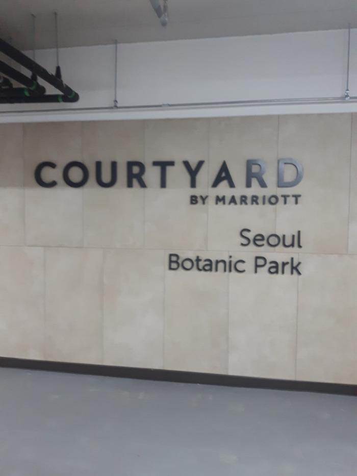 235149625_tXLiOIx7_c335fc3883c7738d37249e2abf6c23aa90ce1cbe.jpg 이미지크게보기