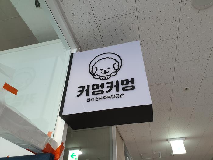 235149625_PhigkFlj_78991859845b413478951ba00559f76940f7a95a.jpg 이미지크게보기
